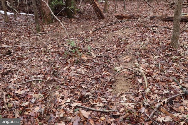 LOTS 2-6 AND 11-16 PENGUIN PL, Bryans Road, MD 20616