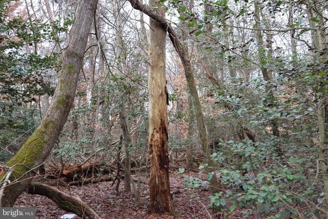 LOTS 2-6 AND 11-16 PENGUIN PL, Bryans Road, MD 20616