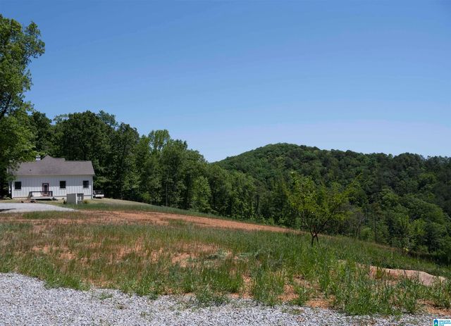 150 JOAL LANE, Wilsonville, AL 35186
