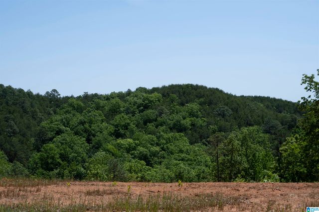 150 JOAL LANE, Wilsonville, AL 35186
