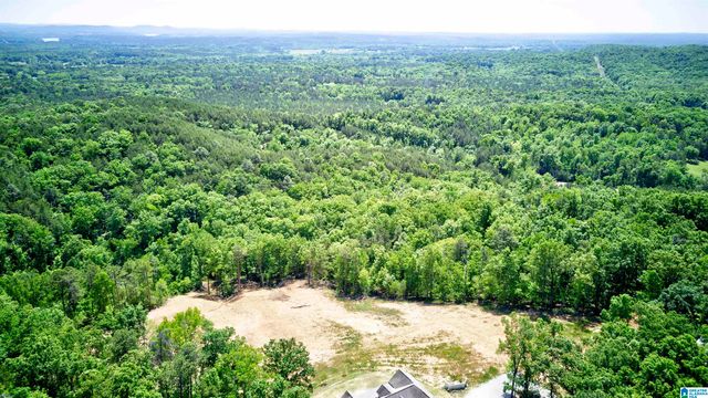 150 JOAL LANE, Wilsonville, AL 35186