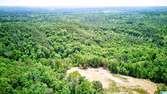 150 JOAL LANE, Wilsonville, AL 35186
