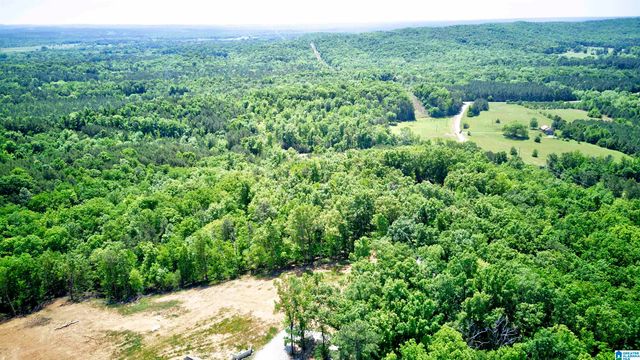 150 JOAL LANE, Wilsonville, AL 35186