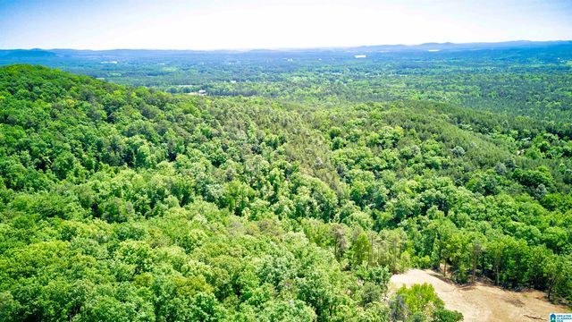 150 JOAL LANE, Wilsonville, AL 35186