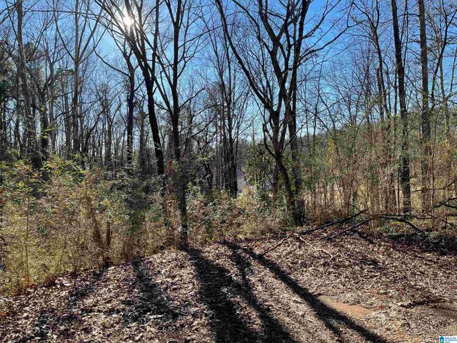 6123 ALEXANDRIA JACKSONVILLE HIGHWAY, Jacksonville, AL 36265