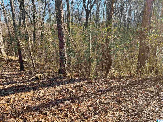 6123 ALEXANDRIA JACKSONVILLE HIGHWAY, Jacksonville, AL 36265