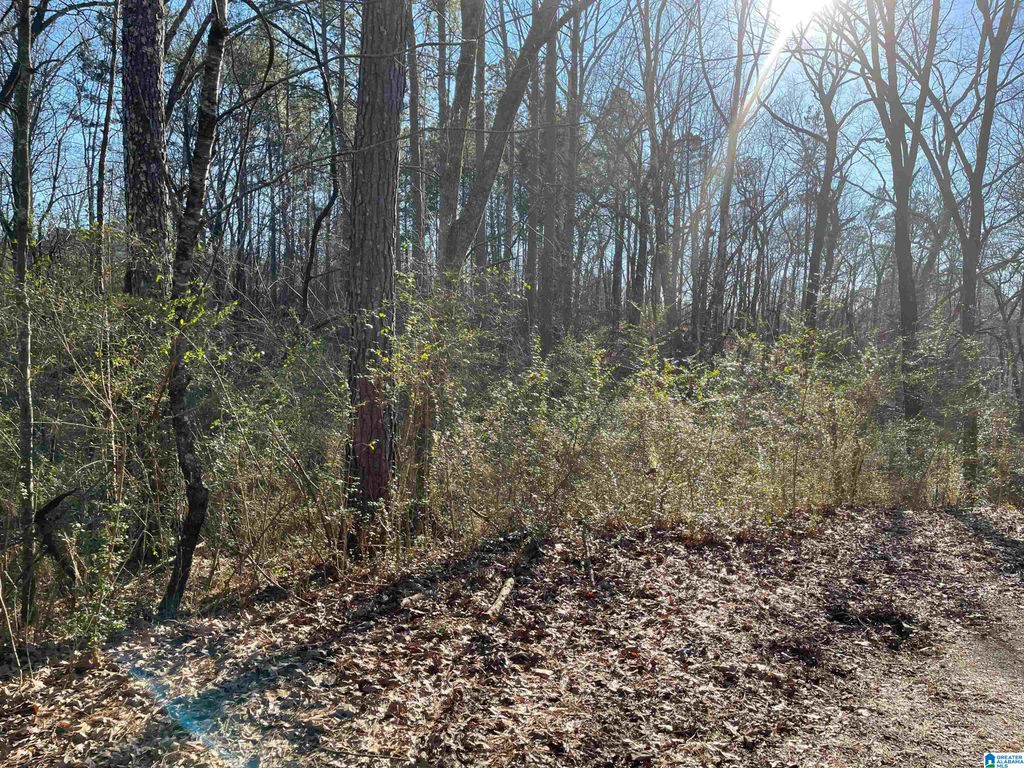 6123 ALEXANDRIA JACKSONVILLE HIGHWAY, Jacksonville, AL 36265