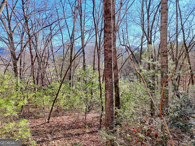 170 White Street, Dillard, GA 30537