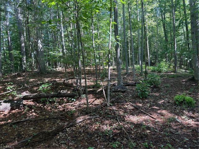 Lot 22 Austin Traphill Road, Traphill, NC 28685