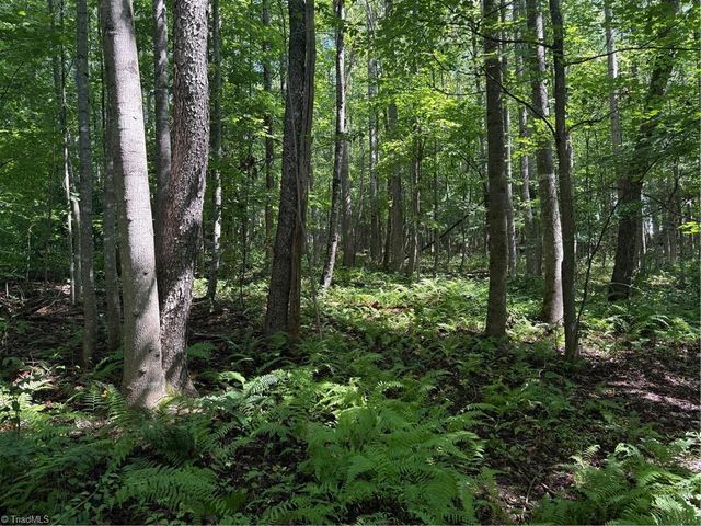 Lot 22 Austin Traphill Road, Traphill, NC 28685