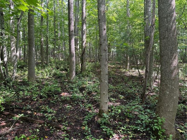 Lot 22 Austin Traphill Road, Traphill, NC 28685