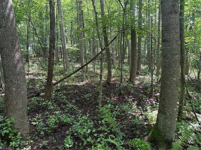 Lot 22 Austin Traphill Road, Traphill, NC 28685