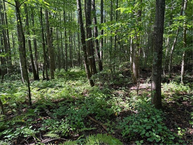 Lot 22 Austin Traphill Road, Traphill, NC 28685