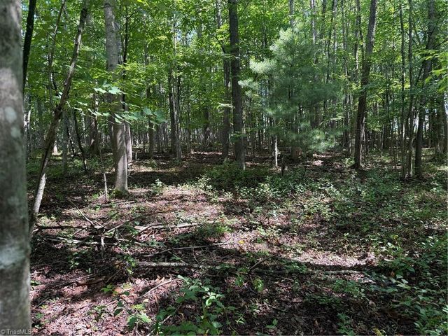 Lot 22 Austin Traphill Road, Traphill, NC 28685