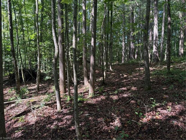 Lot 22 Austin Traphill Road, Traphill, NC 28685