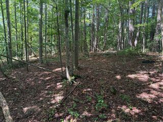 Lot 22 Austin Traphill Road, Traphill, NC 28685