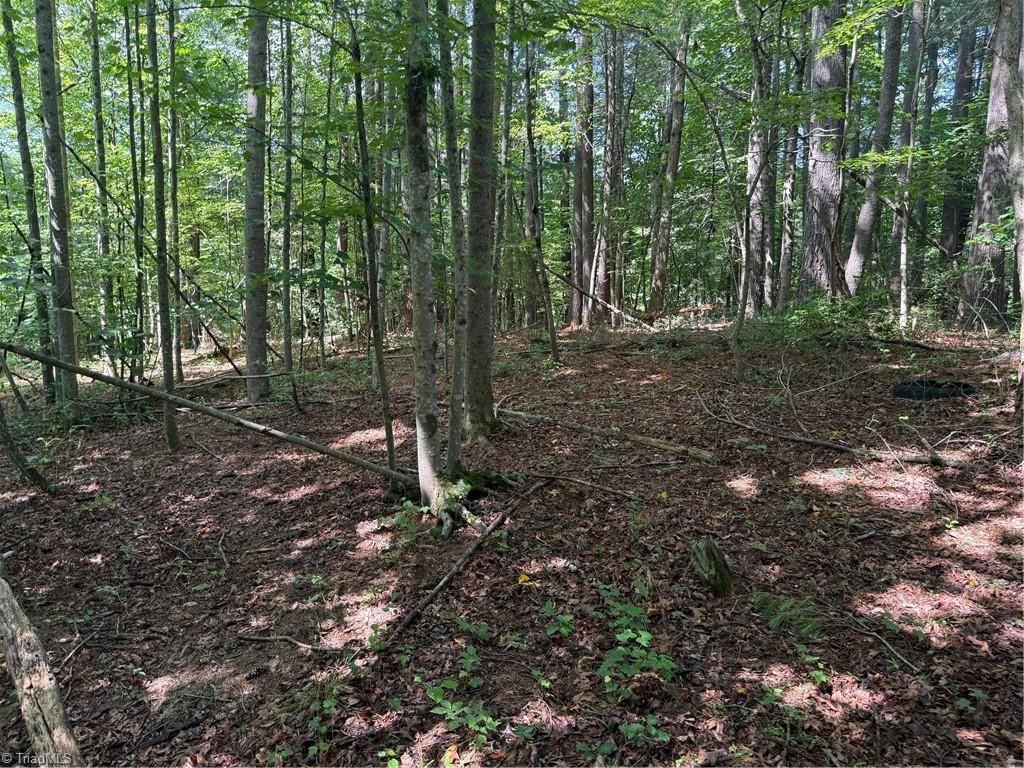 Lot 22 Austin Traphill Road, Traphill, NC 28685