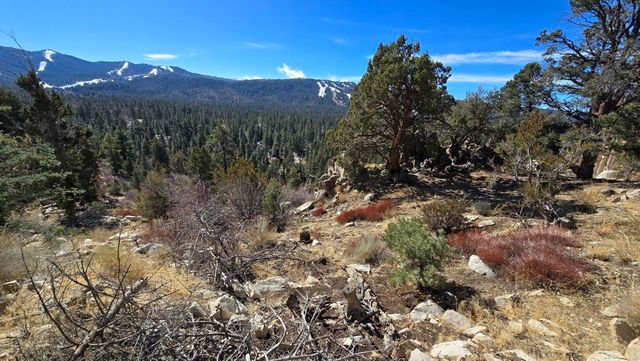 42530 Pegasus Way, Big Bear, CA 92315