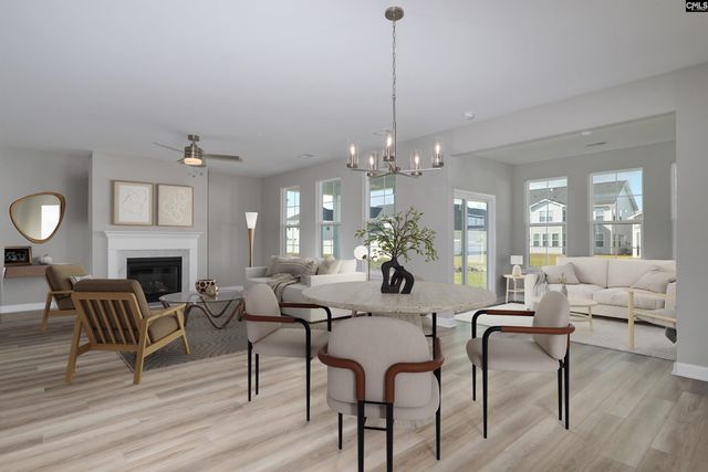 613 Falling Leaf Lane, Chapin, SC 29036