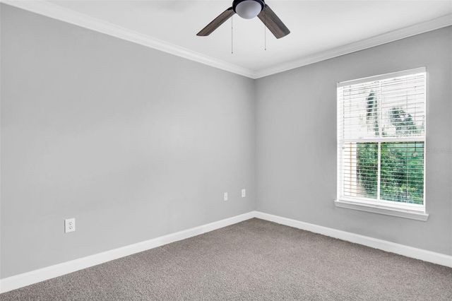 18245 BRIDLE CLUB DRIVE 18245, Tampa, FL 33647
