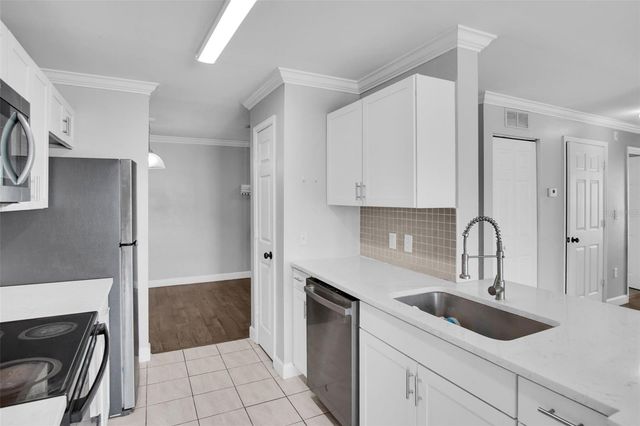 18245 BRIDLE CLUB DRIVE 18245, Tampa, FL 33647