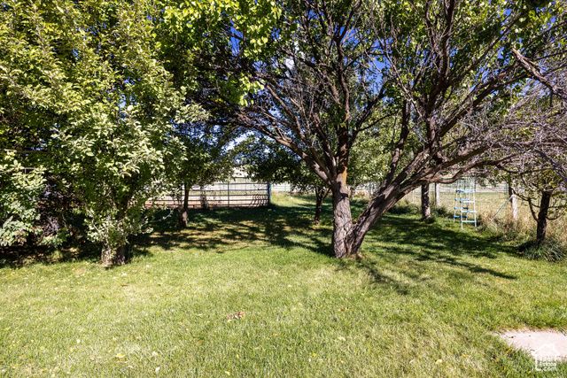 883 E 11000 S, Avon, UT 84328