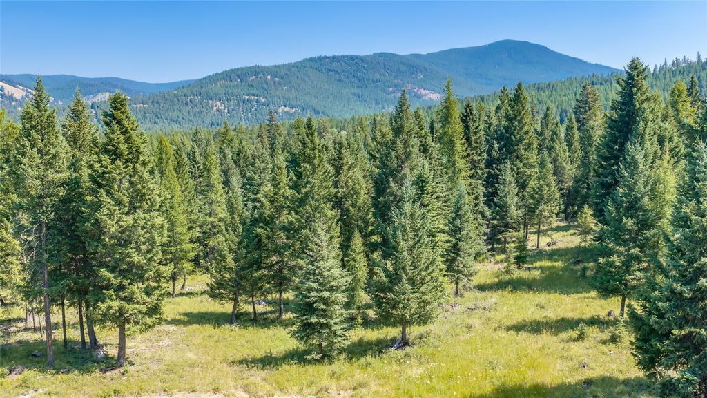 1695 Wild Bill Road, Kila, MT 59920 photo 4