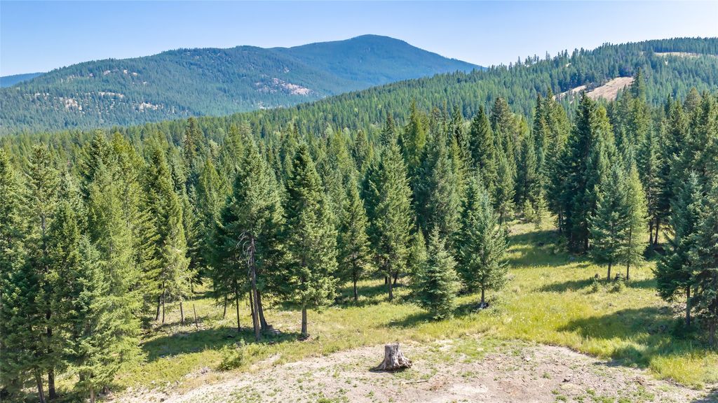 1695 Wild Bill Road, Kila, MT 59920 photo 5