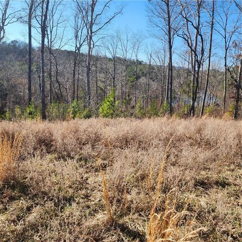 0 Lecroy Drive, Ellijay, GA 30540