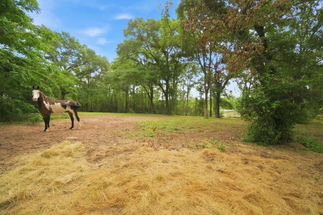 6161 Woodland Lakes Loop, Willis, TX 77378