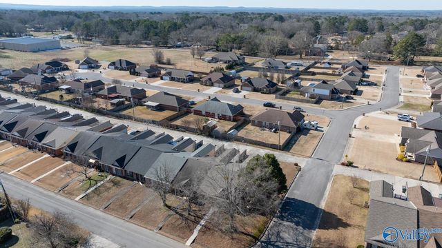 427 Cherry Street, Hartselle, AL 35640