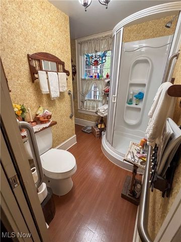 124 Wadsworth Street, Canfield, OH 44406