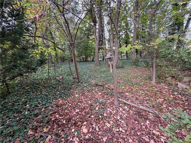 124 Wadsworth Street, Canfield, OH 44406