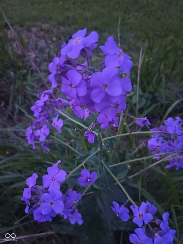 26595 Mount Pleasant Road, Arcadia, IN 46030