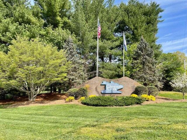 141 Chestnut Creek DR, Hardy, VA 24101