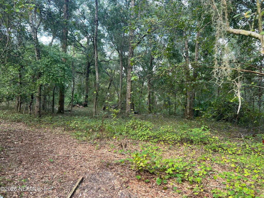126 WILLOW Lane, Hawthorne, FL 32640