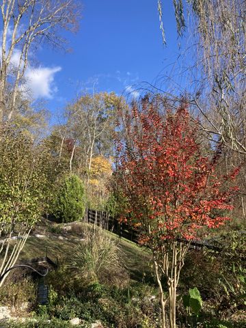 6781 Pleasant Gate Ln, College Grove, TN 37046