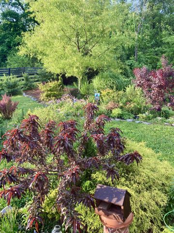 6781 Pleasant Gate Ln, College Grove, TN 37046