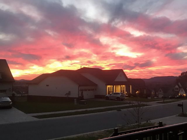 6781 Pleasant Gate Ln, College Grove, TN 37046