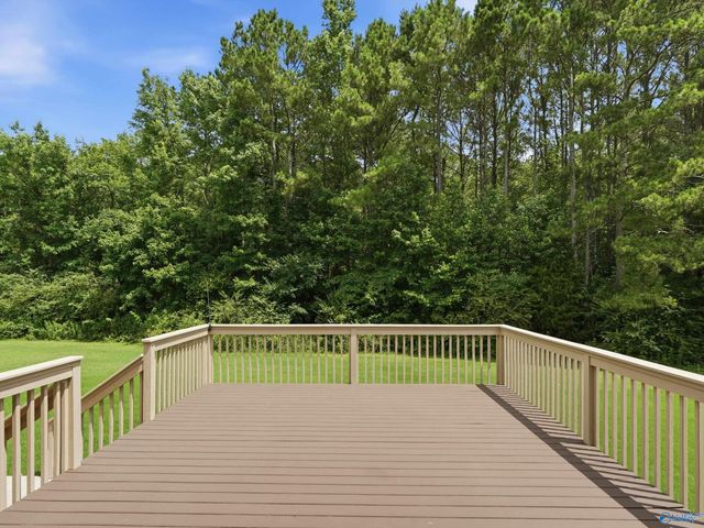 198 Worthington Lane, Guntersville, AL 35976