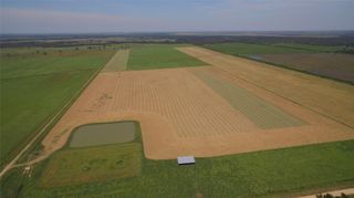 4950 Donaldson Road E, East Bernard, TX 77488