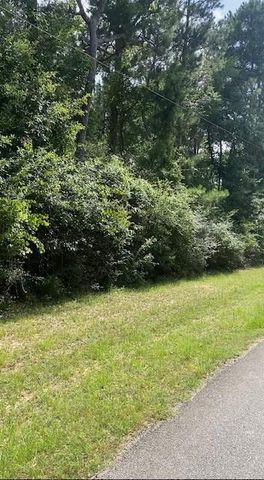 19410 Veterans Road, Magnolia, TX 77355