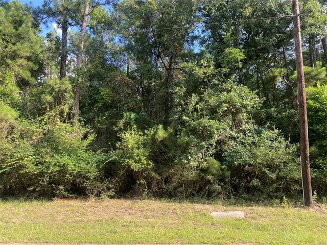 19410 Veterans Road, Magnolia, TX 77355