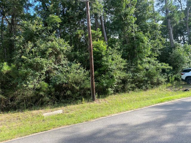 19410 Veterans Road, Magnolia, TX 77355