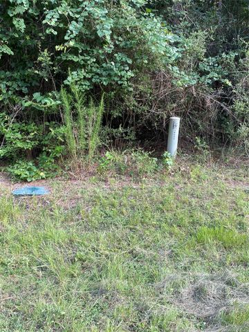 19410 Veterans Road, Magnolia, TX 77355