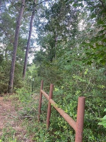 19410 Veterans Road, Magnolia, TX 77355