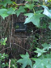 19410 Veterans Road, Magnolia, TX 77355