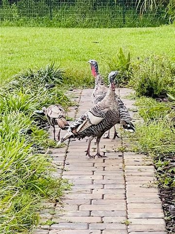 3551 Red Barn, Ormond Beach, FL 34174