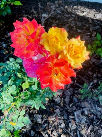 3551 Red Barn, Ormond Beach, FL 34174