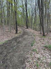 State Road, Colden, NY 14033